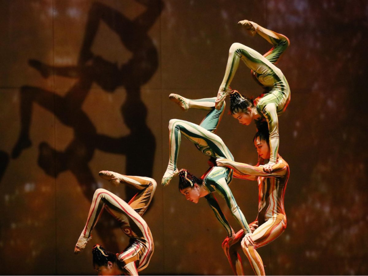 Amazing Acrobats of Shanghai